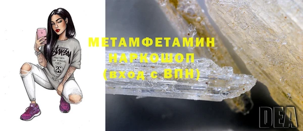 индика Нязепетровск