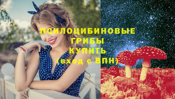 гашиш Няндома