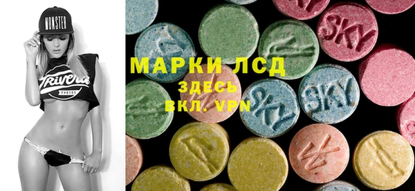 индика Нязепетровск