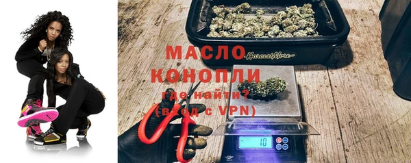 индика Нязепетровск