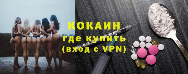 сатива Осташков
