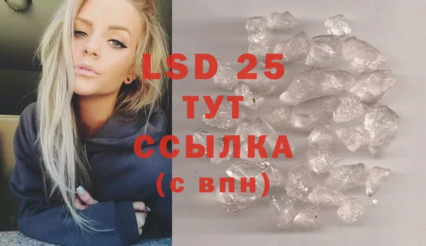 индика Нязепетровск