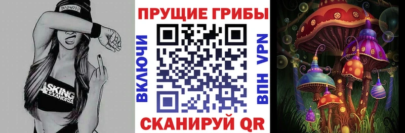 Купить  Юрюзань  Псилоцибиновые грибы мицелий 